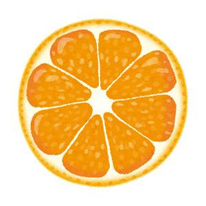 かわいいディズニー画像 新鮮な断面 輪切り オレンジ イラスト