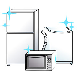 エレガント家電 イラスト 無料 美しい花の画像