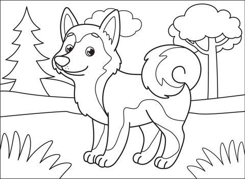 Another in our dog series, today we have husky coloring pages. Husky Coloring Page Free Printable Coloring Pages