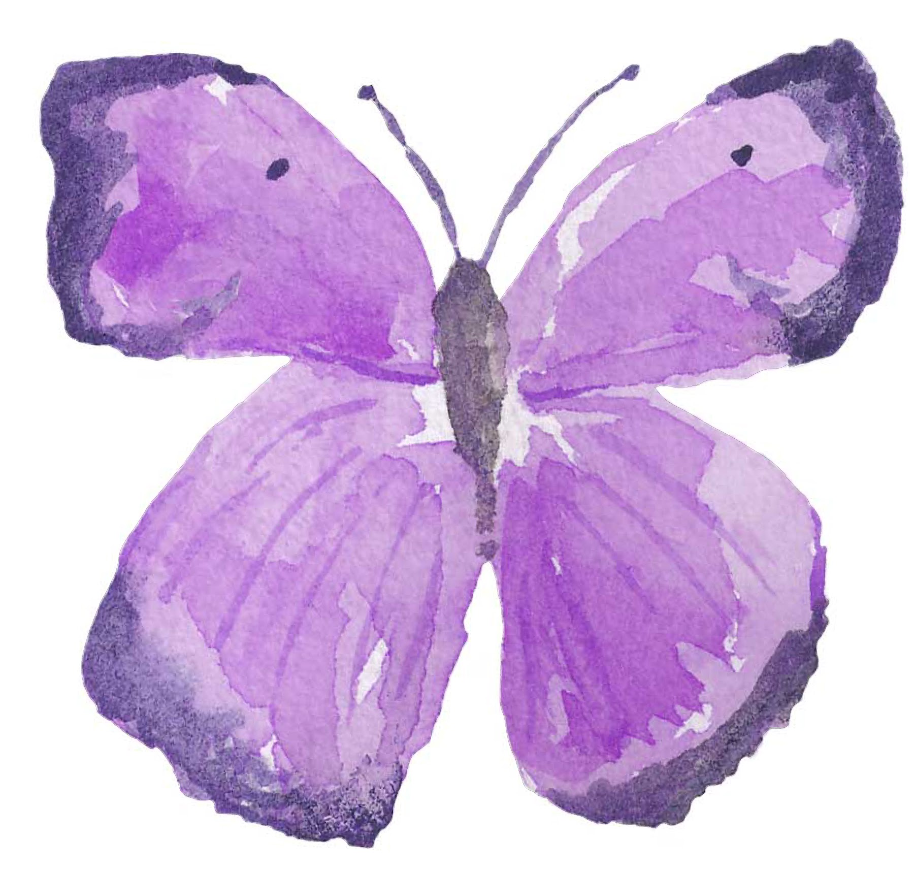 Free Free 181 Watercolor Butterfly Svg SVG PNG EPS DXF File