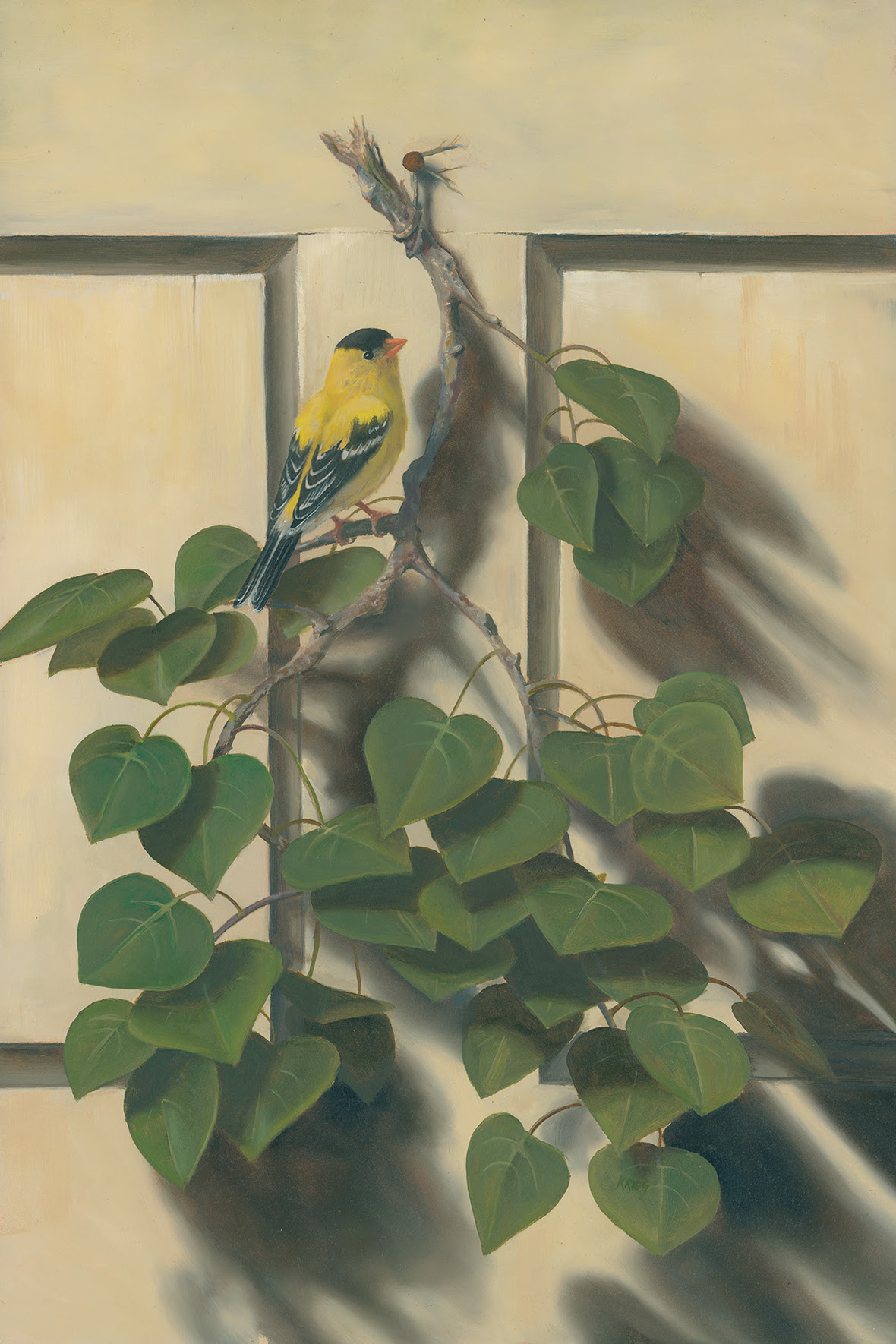 ASPEN BOUGH 6in 300dpi