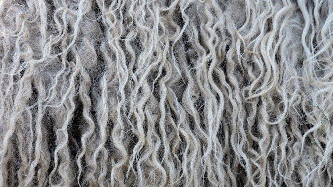 Sifat Bahan Tekstil Yang Terbuat Dari Serat  Wol  Adalah 