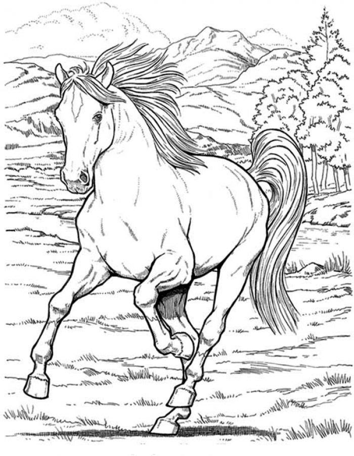 Subscribe to my free weekly newsletter — you'll be the first to know when i add new printable documents and templates to the freeprintable.net network of sites. War Horse Coloring Pages At Getdrawings Free Download