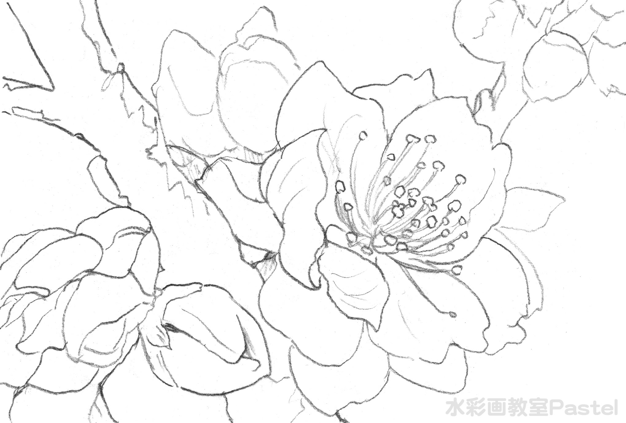 年の最高 風景 塗り絵 無料 ぬりえ 無料でダウンロードまたは印刷