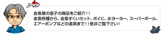 bestpictylyr 25 金 魚屋 の 息子