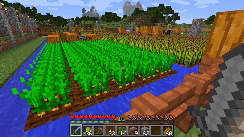 マイクラ 人参 栽培 マイクラ 人参 栽培