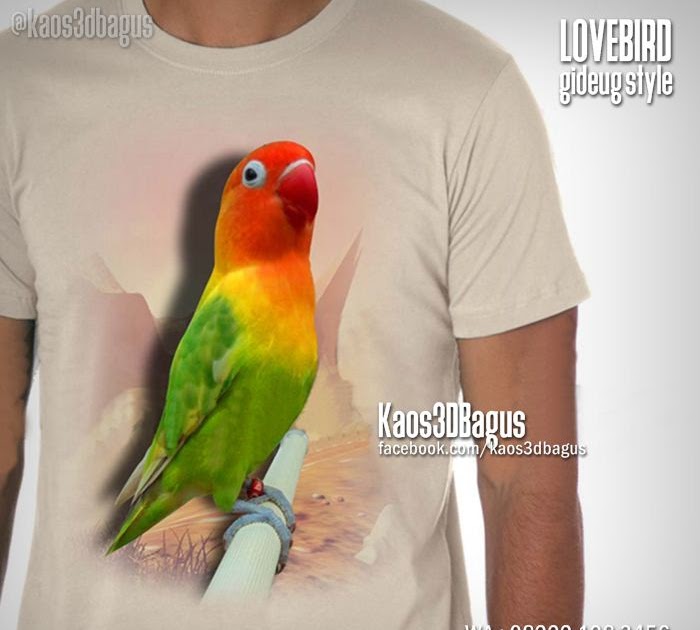 24 Gambar Burung  Lovebird  Untuk Kaos 