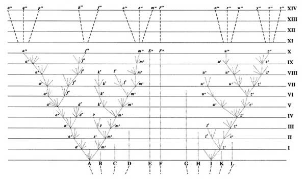 It is the only mechanism known for adaptive evolution. Honr 259c Descent With Modification Overview Of Evolution