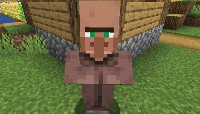 最高のマインクラフト 新着マイクラ 村人 種まきしない