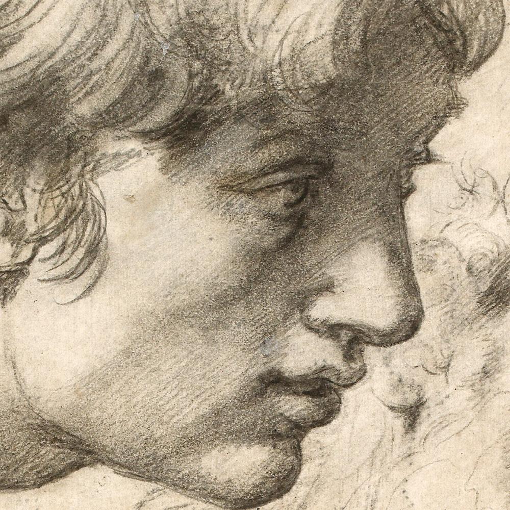 A drawing of an apostles head by Raphael