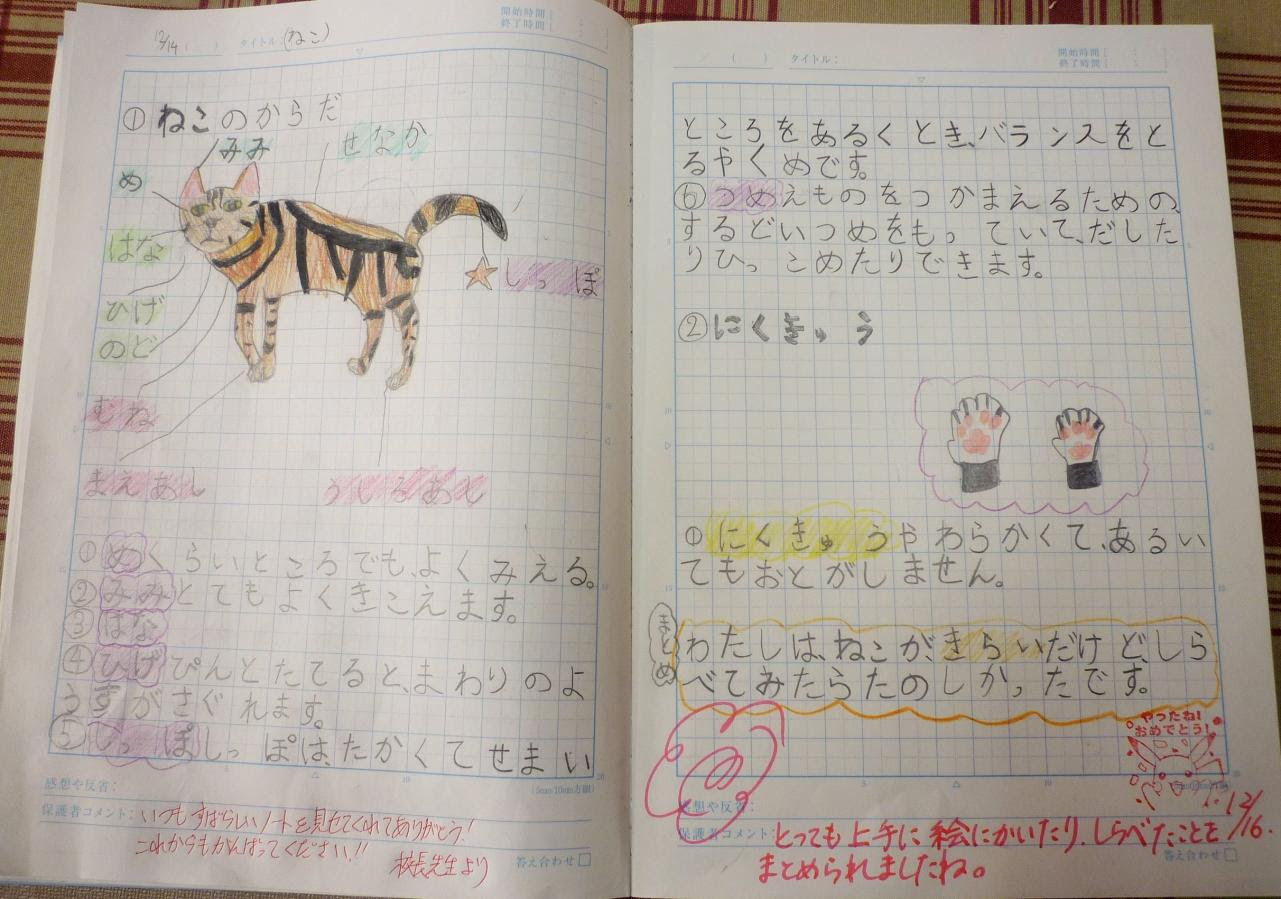 かわいい壁紙 有名な 5 年 宿題 自学 ノート理科
