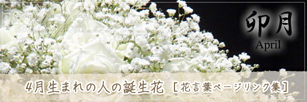 Mamiintyu 4 月4 日誕生花