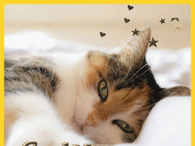 Image bon mercredi chat noel 285251