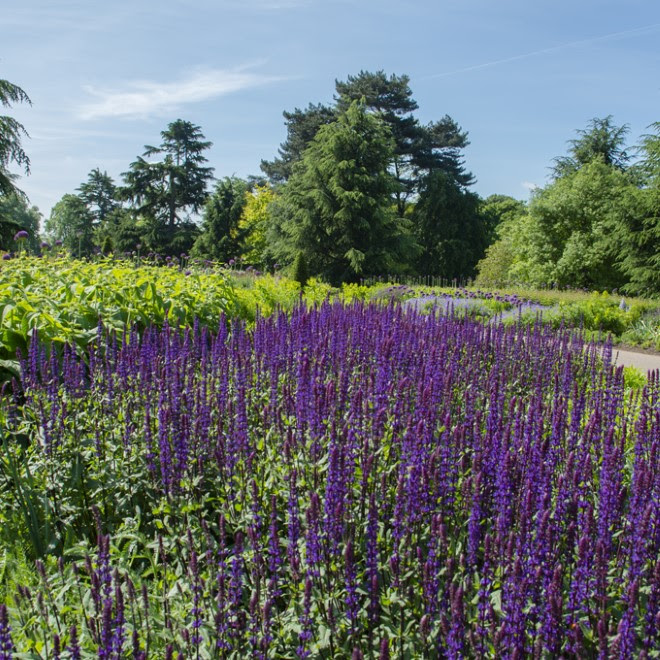 The Great Broad Walk Borders