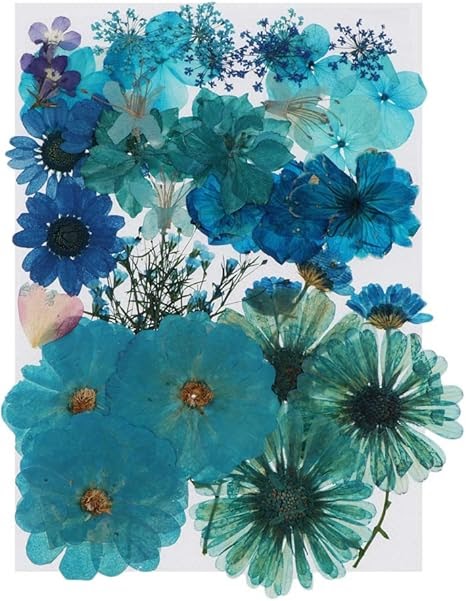 押し花 画像 素材 無料 1071 押し花 画像 素材 無料