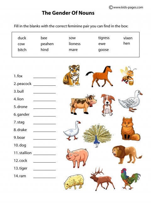 animal worksheet: NEW 572 ANIMAL HOMES WORKSHEET GRADE 2