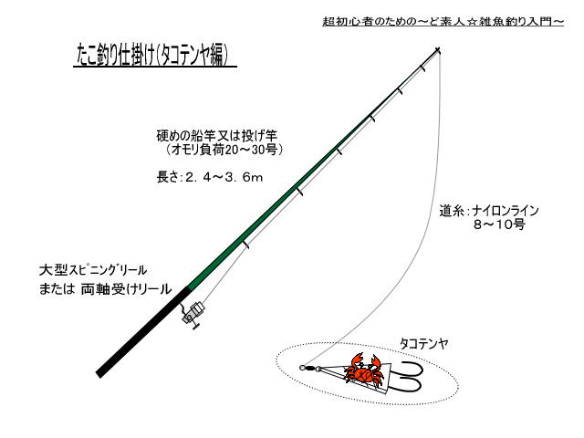 エレガントタコ 釣り 仕掛け 船 すべての魚の画像