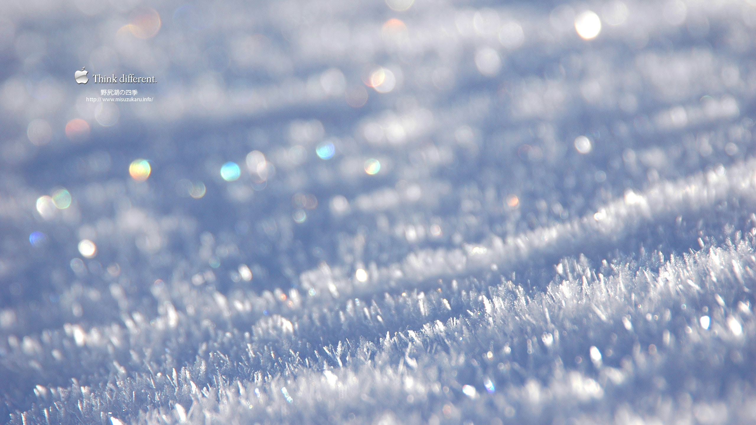 0以上 壁紙 雪 Jpbestwallpaper