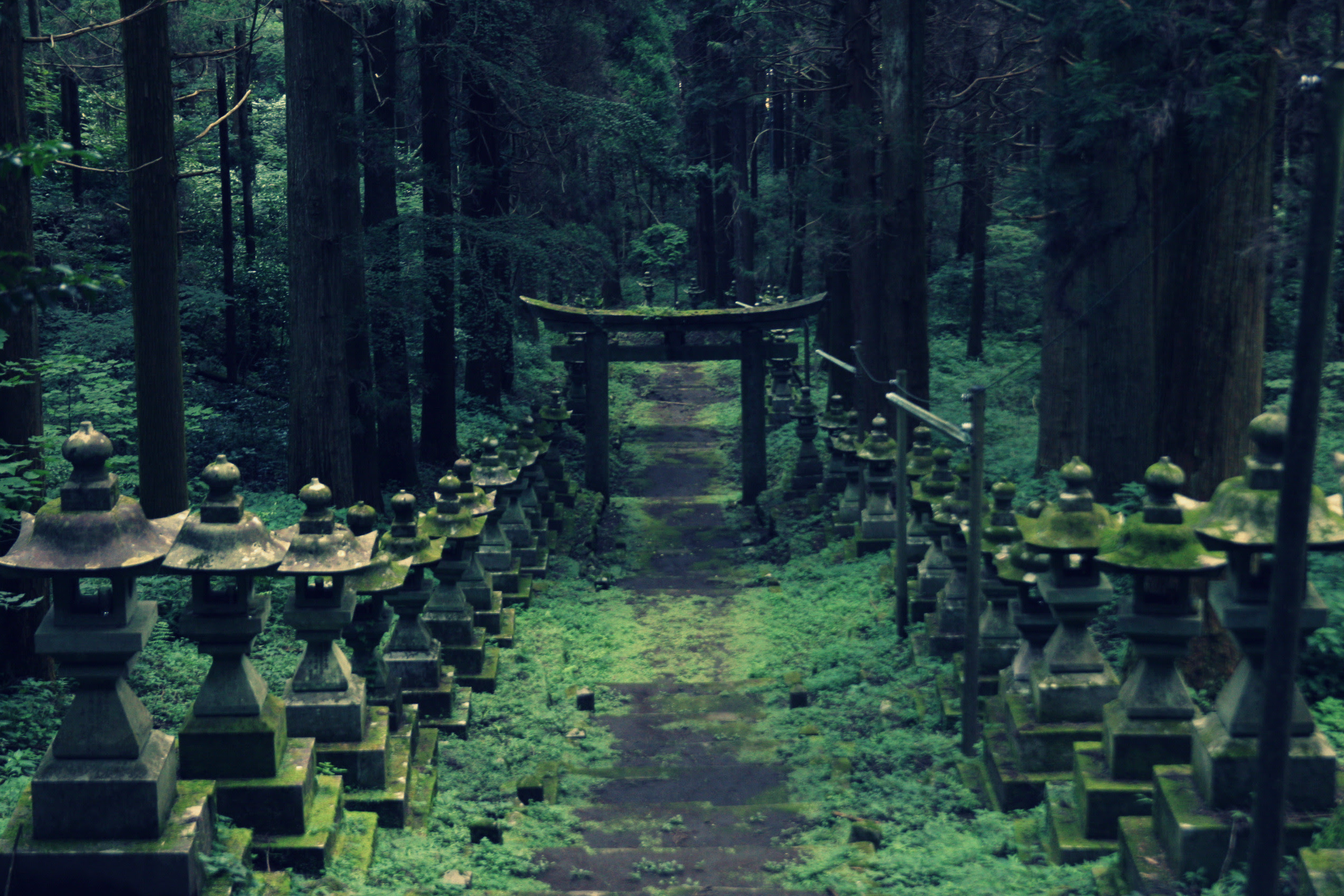 ラブリー幻想的神社壁紙