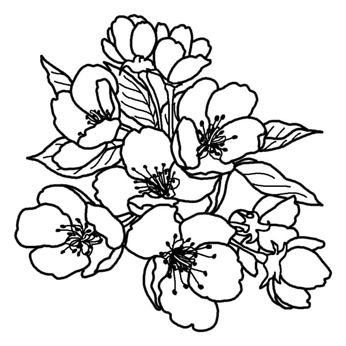 Ngagolak 白黒 花 イラスト モノクロ