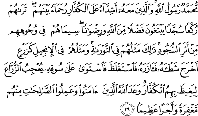 BERKATA HATI..: Surah Ali 'Imran ayat 154 & surah al-Fath ayat 29.