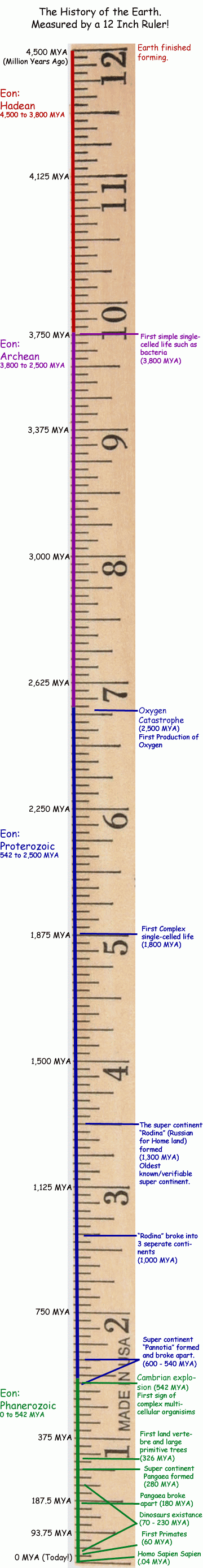 best templates online ruler actual size