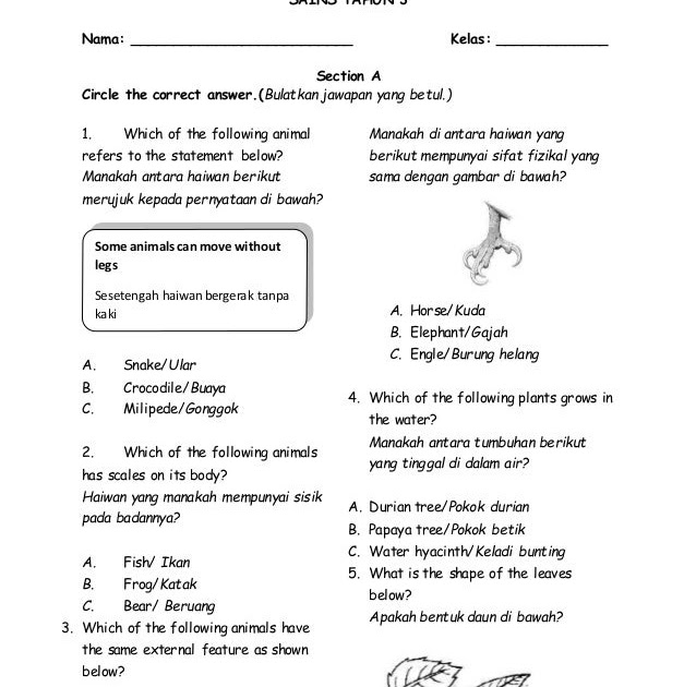 Contoh Soalan Ujian Bulanan Matematik Tahun 3 - Omong d