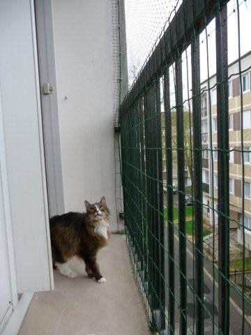 Fiche Technique Tracteur Tondeuse Protection Balcon Chat