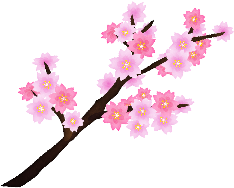 ベスト 桜の枝 イラスト 写真素材 フォトライブラリー