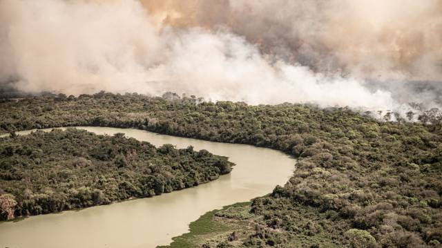 O Pantanal queima e aumenta a pressão sobre a gestão ambiental
