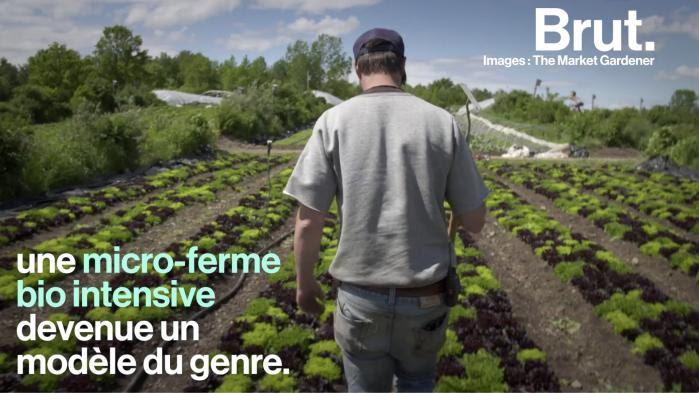 VIDEO. "Ce qu'on veut, c'est remplacer l'agriculture de masse par une masse d'agriculteurs", explique Jean-Martin Fortier