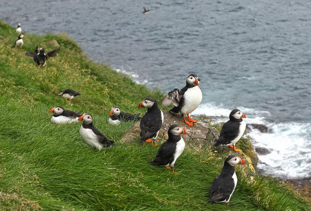 15 điều tuyệt vời chỉ có ở đảo quốc Iceland, iceland, 15 điều chỉ có ở iceland, khám phá iceland, quốc gia 330000 dân, tin tức thế giới, an ninh thế giới, thời sự quốc tế, tin thoi su, tin thoi su the gioi, tin tức trong ngày, tin tức 24h, du lịch, du lich 24h, du lich 2016, du lich viet, du lich the gioi, dia diem du lich, tin tuc, tin tuc trong ngay