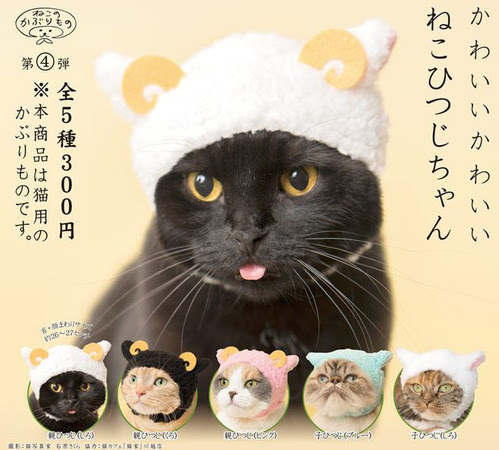 最も人気があります 猫 かぶりもの 嫌がる 100 で最高の画像
