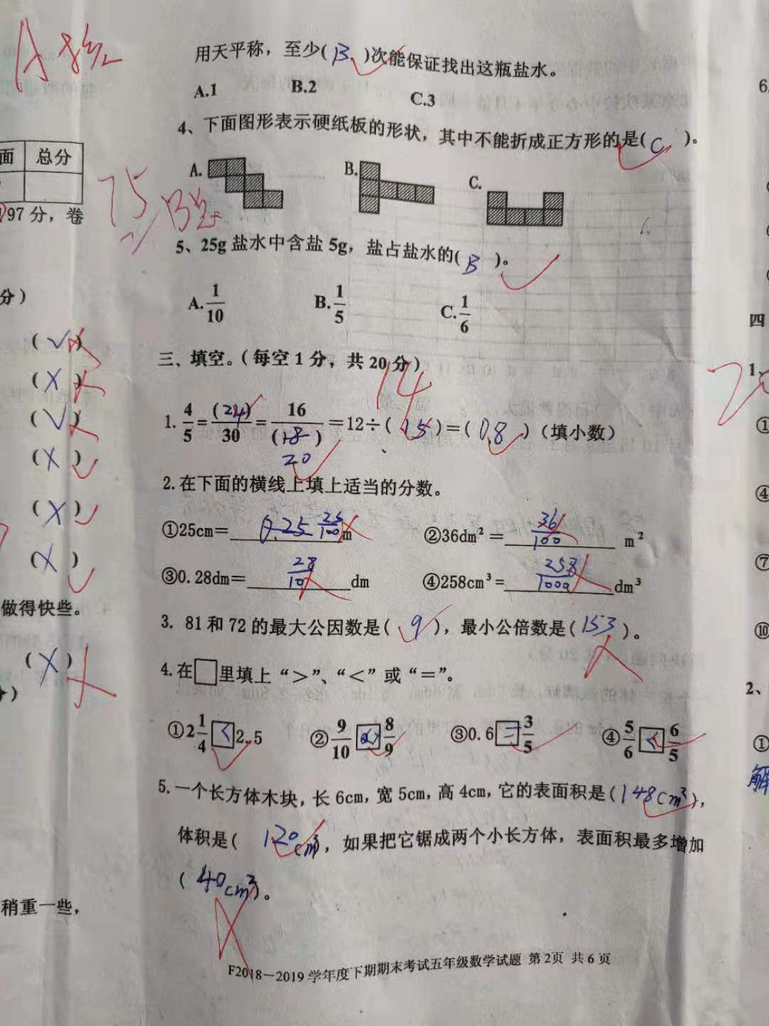 中学 2 年生 自由 研究