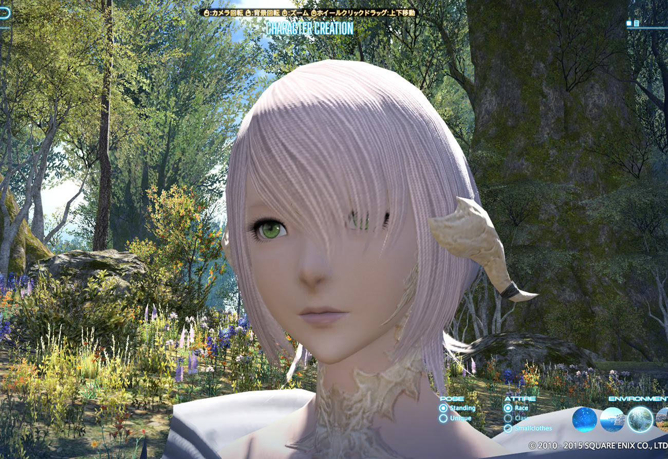0以上 Ff14 キャラクリ レシピ アウラ Ff14 キャラクリ レシピ アウラ