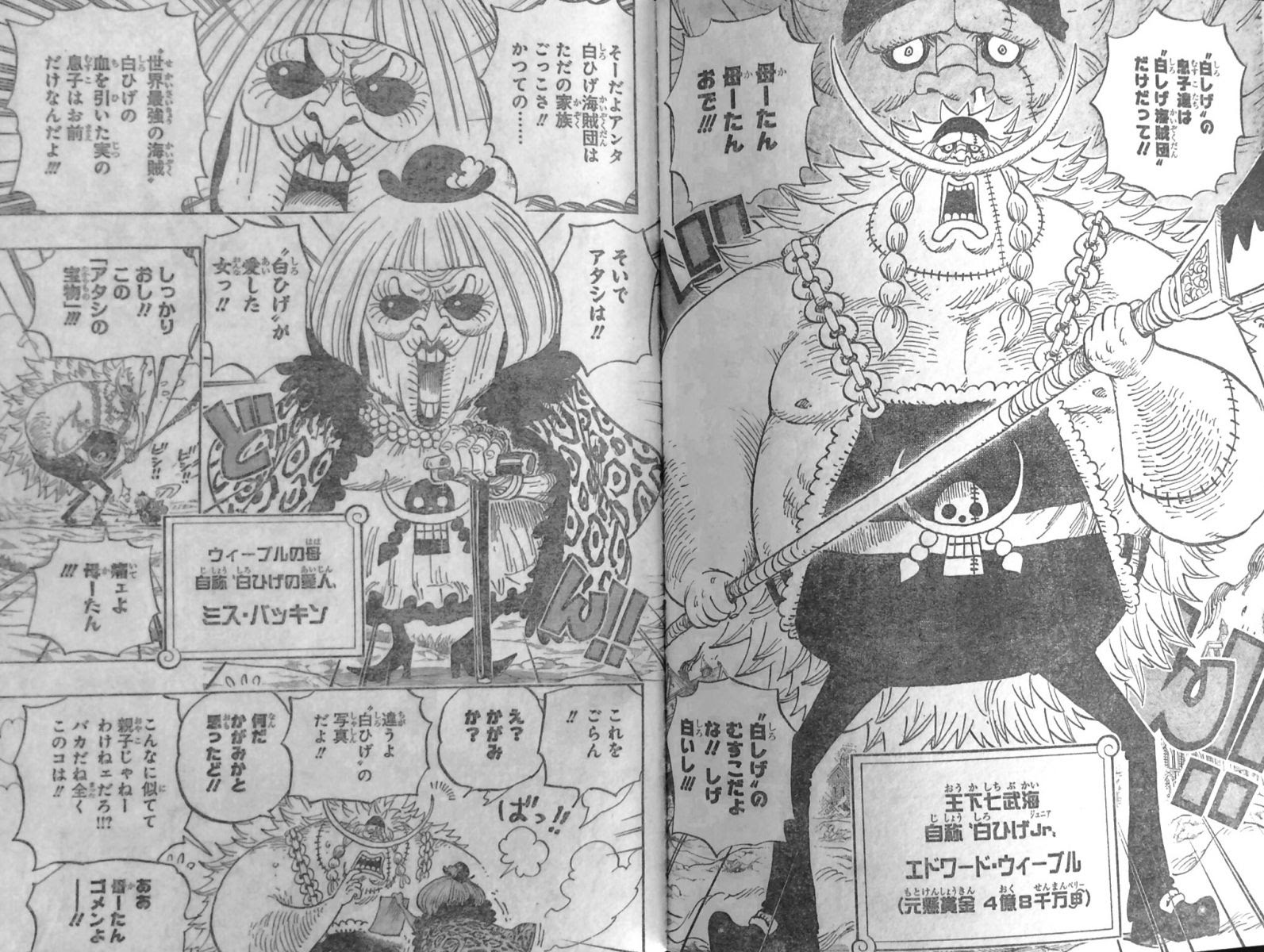 優れた ワンピース エドワード ウィーブル 100 イラスト