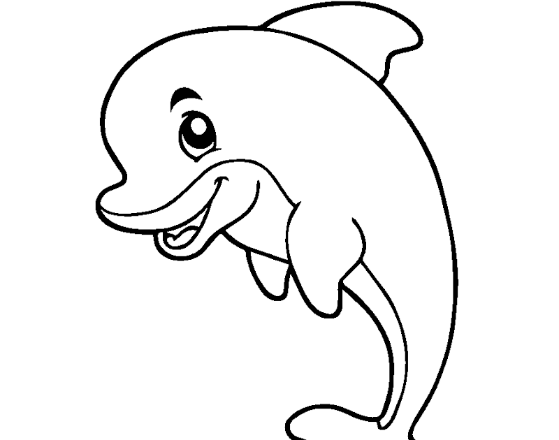 Kumpulan gambar  untuk  Belajar mewarnai Gambar  Ikan  Lumba 