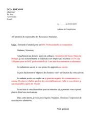 Lettre De Motivation Emploi Zoo  Job Application Cover Letter