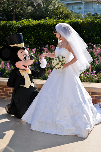 ディズニー画像ランド 最高のフロリダ ディズニー 結婚 式