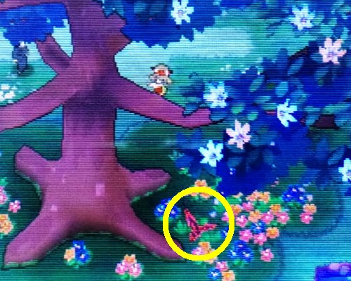 ポケモン Az フラエッテ