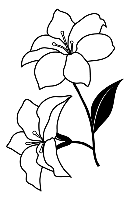 トップ100百合 イラスト 花 白黒 美しい花の画像