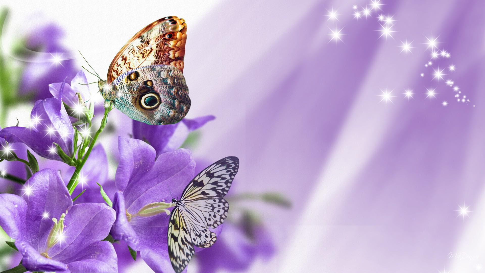 Gambar Wallpaper Bunga Ungu - Gudang Wallpaper