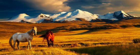 mongolia-header