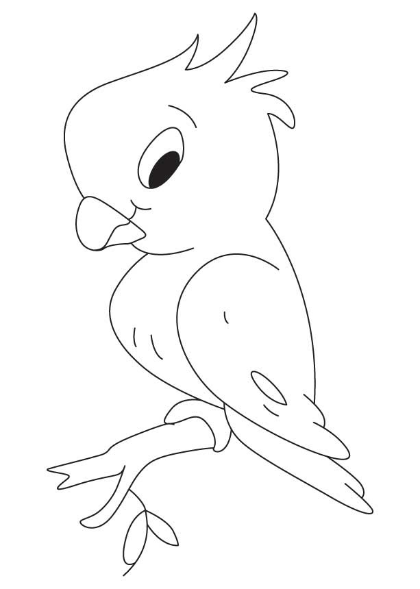 For boys and girls, kids and adults, teenagers and toddlers, preschoolers and older kids at school. Shy Parrot Coloring Page Download Free Shy Parrot Coloring Page For Kids Best Coloring Pages