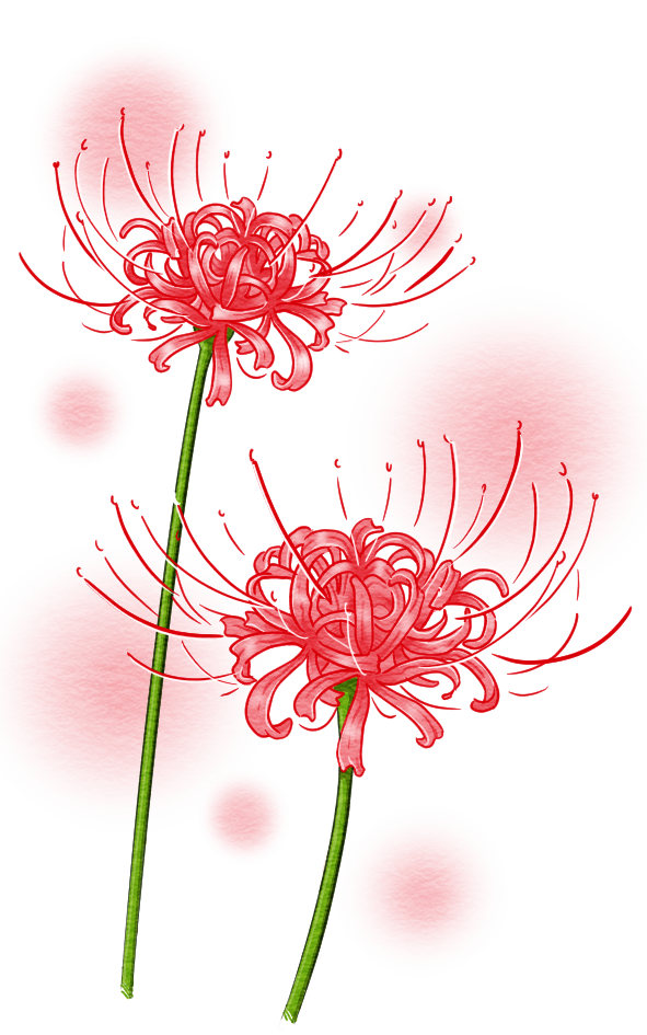 画像をダウンロード 簡単 彼岸花 イラスト 書き方