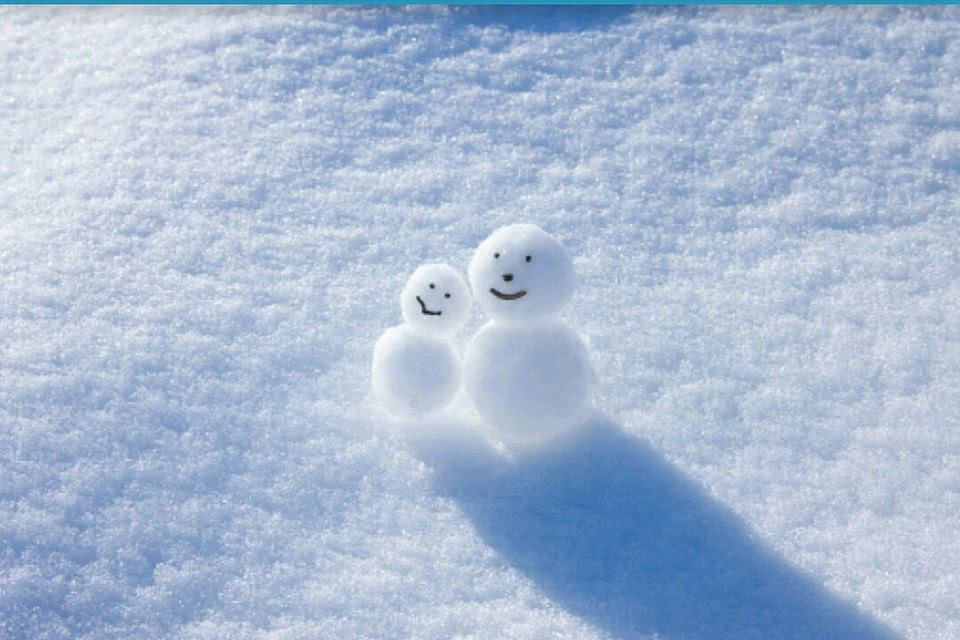 心に強く訴える雪景色 壁紙 おしゃれ 最高の花の画像