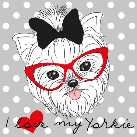 Download 43+ Free Yorkie Svg Background Free SVG files | Silhouette ...