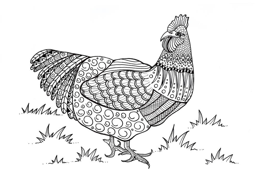 Picture of mother chicken and her hungry baby coloring page : Colorful Chicken Adult Coloring Page Favecrafts Com