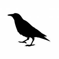 すべての動物の画像 ぜいたくカラス イラスト
