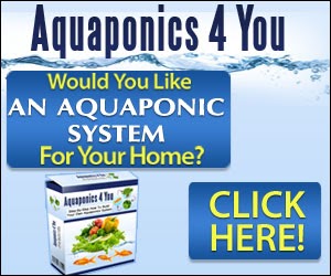 Sielsie: Diy aquaponics supplies